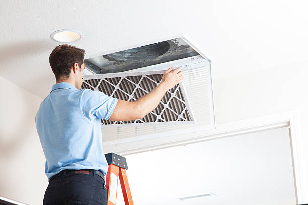 Best Air quality test  in Chester, MD